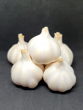 Garlic