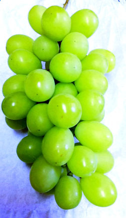 Shine Muscat Grapes